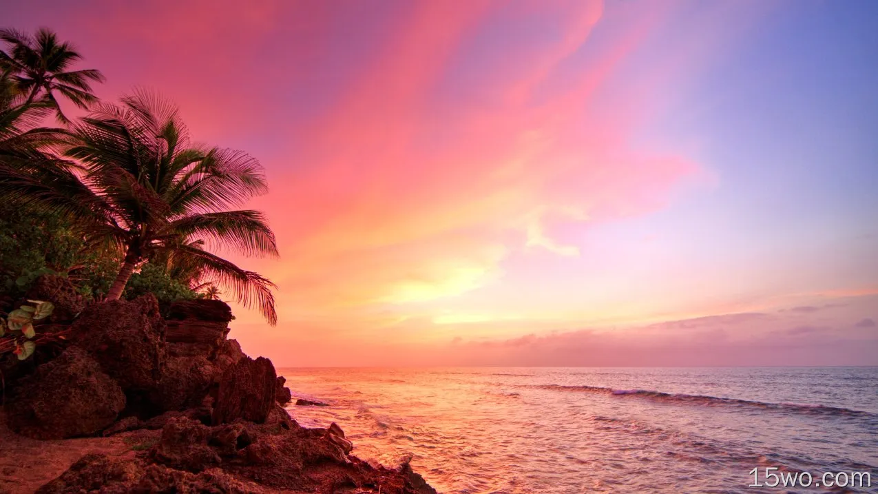 自然 日落 岩石 热带 地球 Coast 海洋 Sea 波多黎各 棕榈 天空 粉色 Horizon 高清壁纸