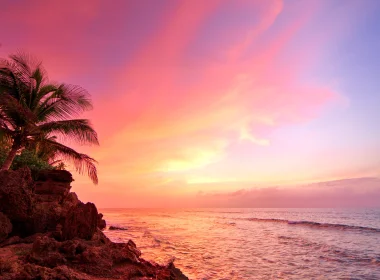 自然 日落 岩石 热带 地球 Coast 海洋 Sea 波多黎各 棕榈 天空 粉色 Horizon 高清壁纸 3840x2160