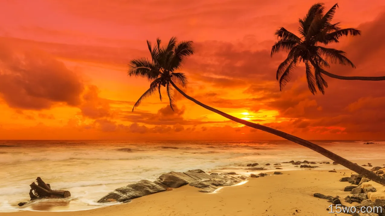 自然 日落 热带 海滩 海洋 高清壁纸
