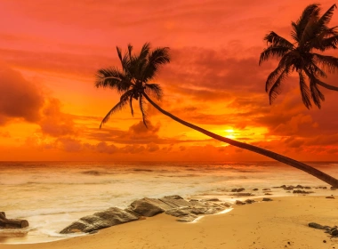 自然 日落 热带 海滩 海洋 高清壁纸 7680x4320