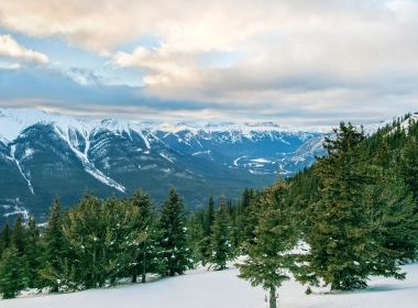 自然 冬季 大自然 森林 山 山谷 风景 Snow 高清壁纸 3840x2160