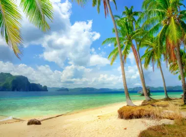 海滩 椰子树 夏天 蓝天 3450x2300