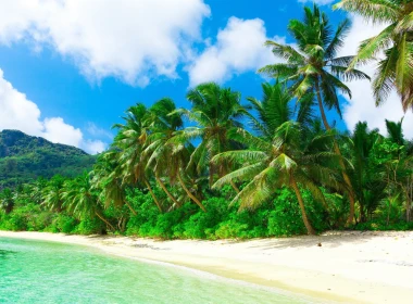 自然 热带 岛屿 棕榈 Tropics 高清壁纸 3840x2160