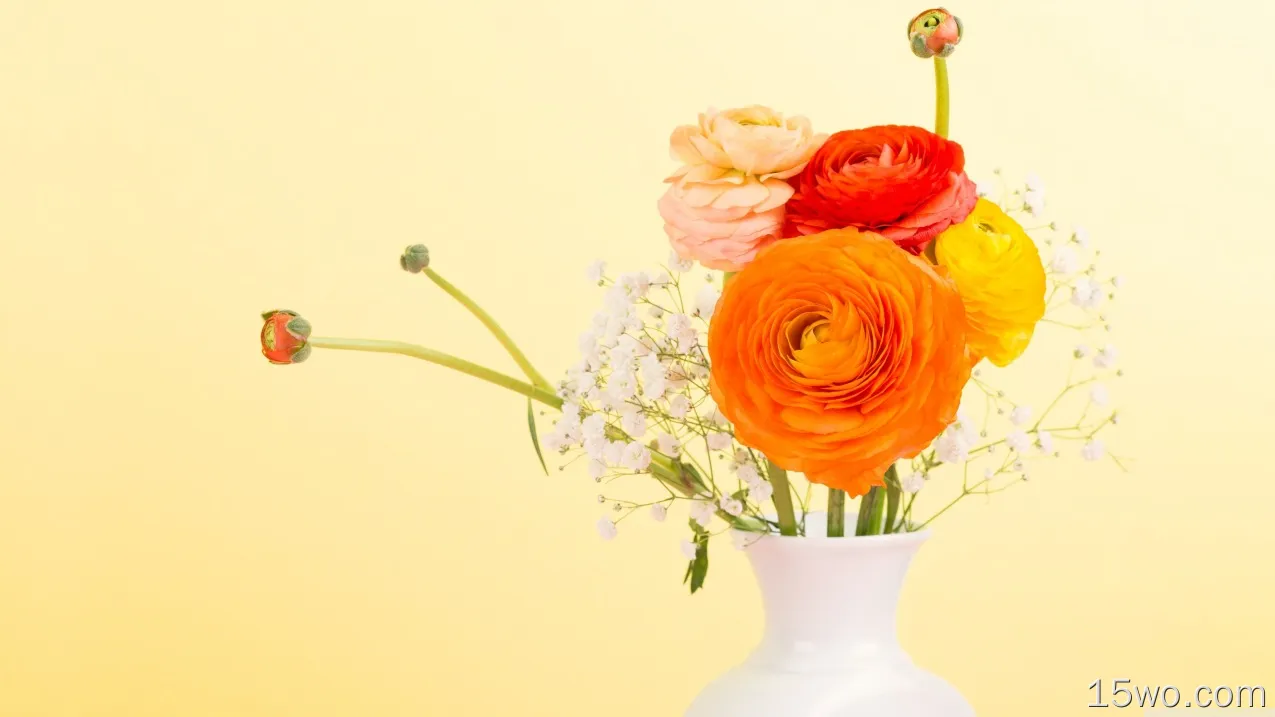 人造 插花 Orange Flower 花 Buttercup Colorful Vase 高清壁纸