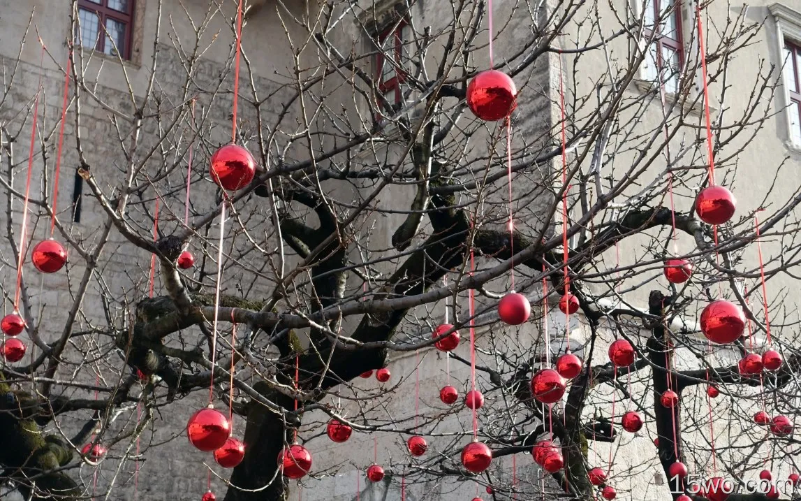 树，许多红色球装饰，假日