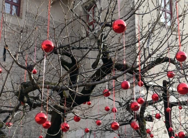 树，许多红色球装饰，假日 2560x1600