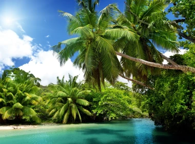自然 热带 Lagoon 棕榈 Tropics 高清壁纸 3840x2160