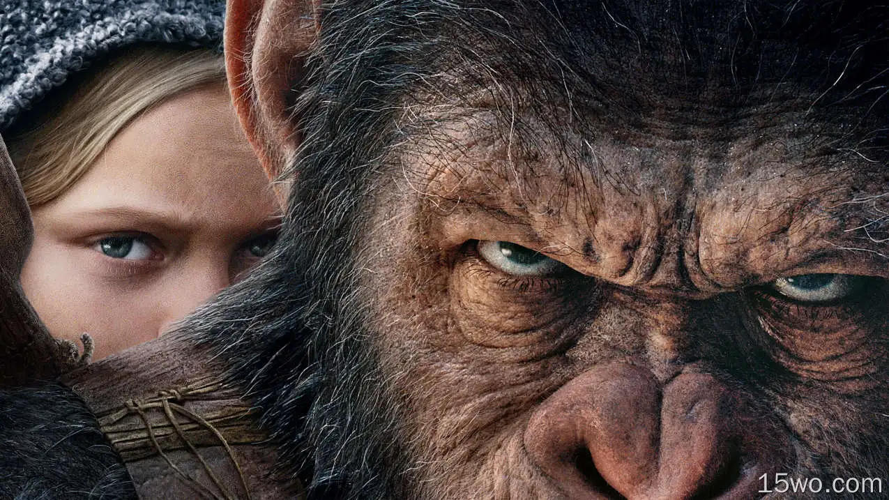 电影 War For The Planet Of The Apes Andy Serkis Caesar Planet of the Apes Amiah Miller 高清壁纸