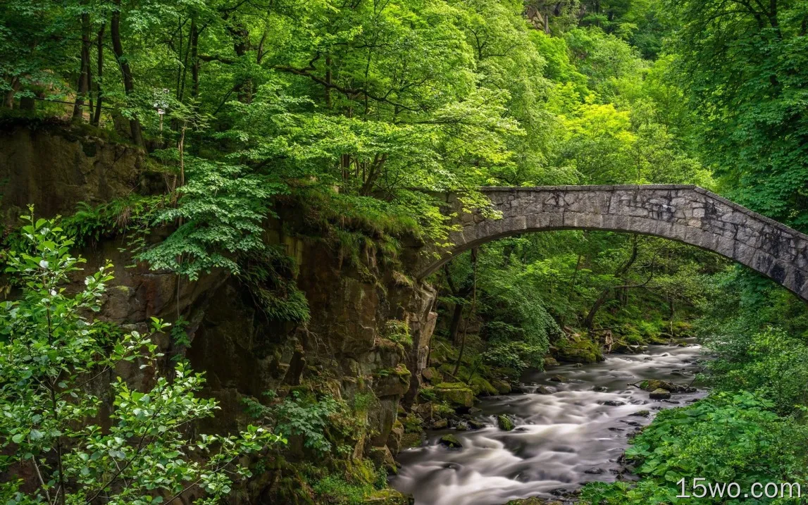 石桥，小溪，树木，绿色，森林