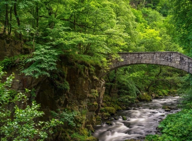 石桥，小溪，树木，绿色，森林 1920x1200