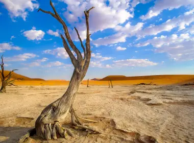 自然 沙漠 纳米比亚 Dead Tree Sand 风景 大自然 高清壁纸 3840x2160