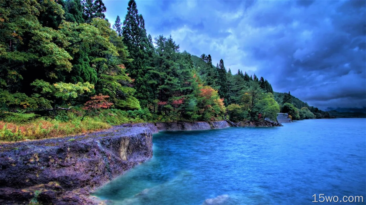 自然 海岸 地球 湖泊 蓝色 云 树 秋季 Foliage 高清壁纸