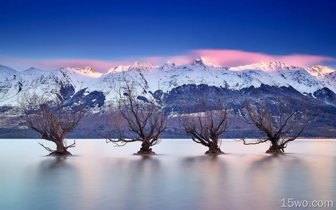 瓦卡蒂普湖，新西兰皇后镇，南阿尔卑斯山，树木