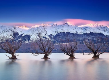 瓦卡蒂普湖，新西兰皇后镇，南阿尔卑斯山，树木 1920x1200