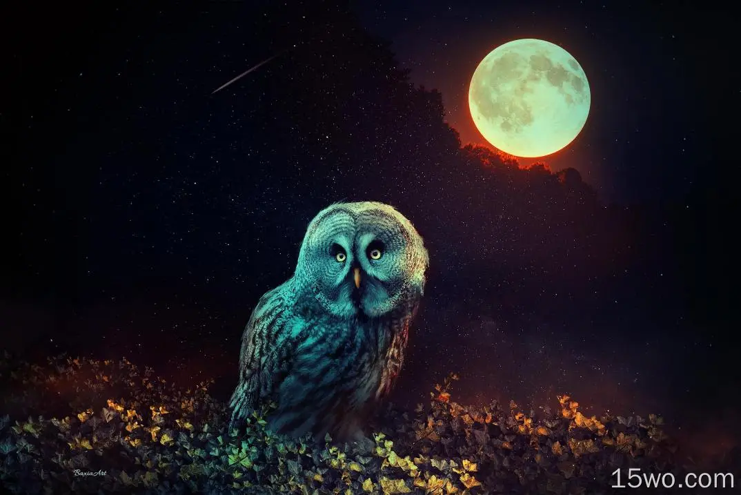 猫头鹰、满月、星空、夜晚、超现实主义、流星