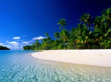 自然 海滩 Sand Tropics 地球 树 岛屿 水 海洋 天空 棕榈 高清壁纸 2000x1333