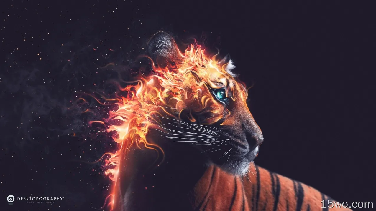 老虎回头看，火，兽，Desktopography艺术设计
