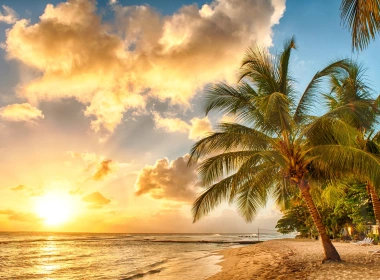 热带，天堂，沙滩，棕榈树，海，海洋，夕阳 2560x1600