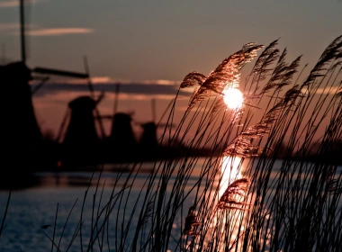 荷兰，风车，芦苇，河流，太阳 2560x1600