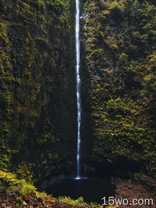 Caldeirão Verde,Madeira,waterfall,nature,portrait display,landscape,water,rocks,leaves