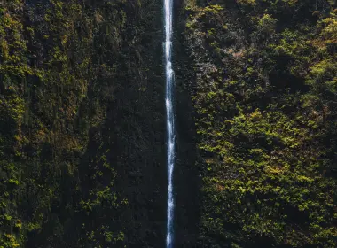 Caldeirão Verde,Madeira,waterfall,nature,portrait display,landscape,water,rocks,leaves 3600x4800