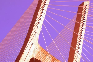 人造 瓦斯科达伽马大桥 桥 高清壁纸  2560x1440