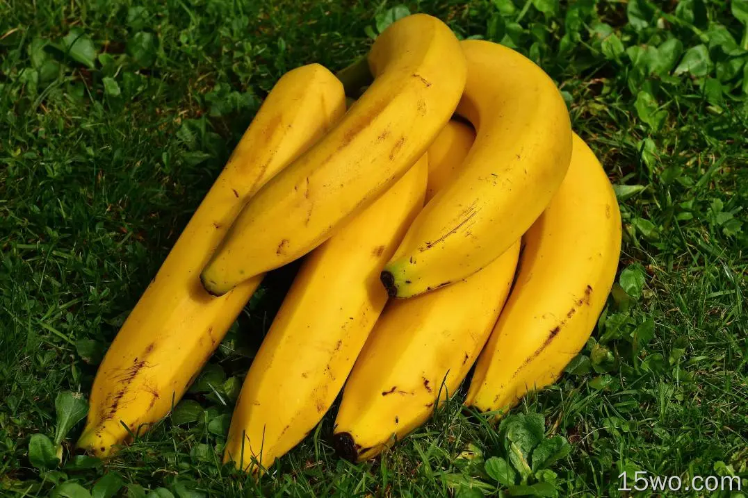 香蕉、草、水果