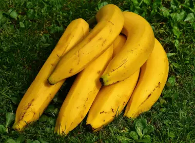 香蕉、草、水果 6000x4000