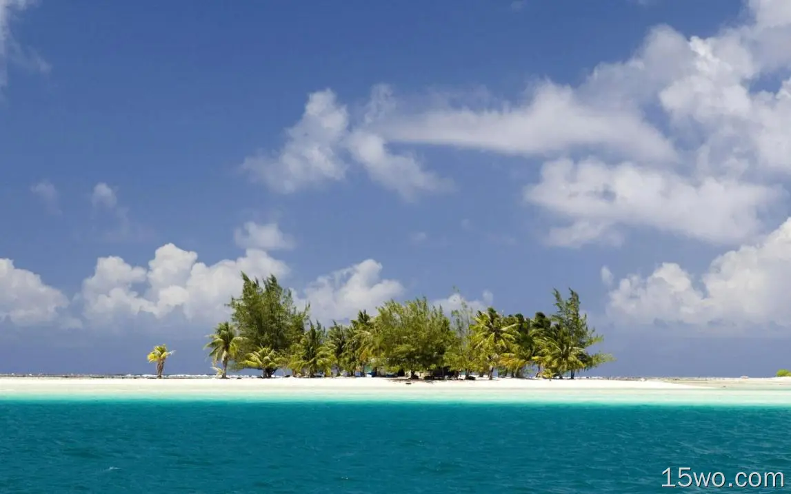 自然 岛屿 地球 热带 棕榈 海洋 Sea Maldives 高清壁纸