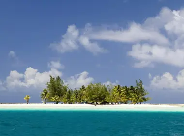 自然 岛屿 地球 热带 棕榈 海洋 Sea Maldives 高清壁纸 1920x1200