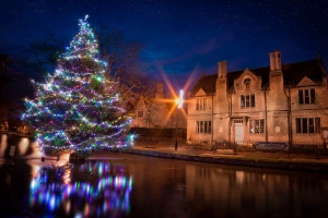 圣诞树，灯光，房子，夜晚  2560x1440