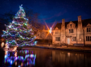 圣诞树，灯光，房子，夜晚 2560x1440