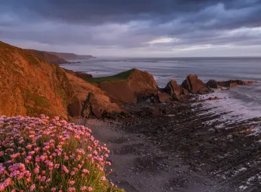 自然 海岸 大自然 海滩 Horizon Pink Flower 云 高清壁纸 5760x3840