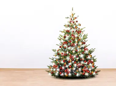 节日 圣诞节 Christmas Tree 高清壁纸 2560x1706