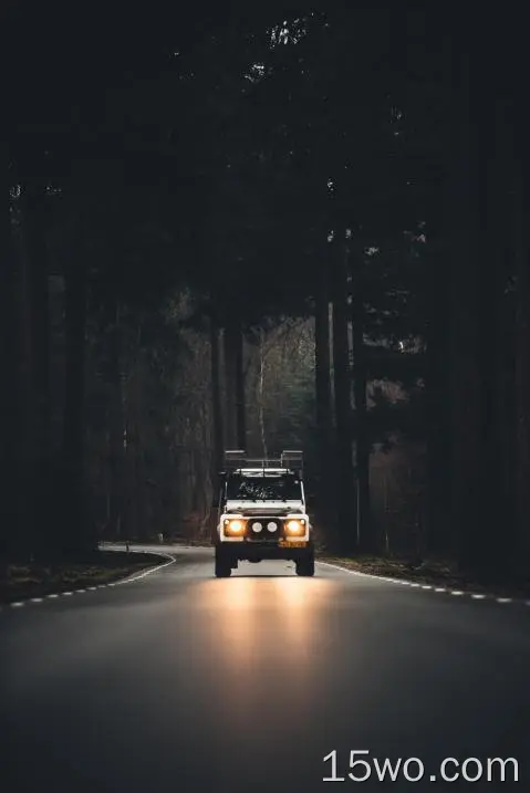 道路、灯光、树木、森林、汽车