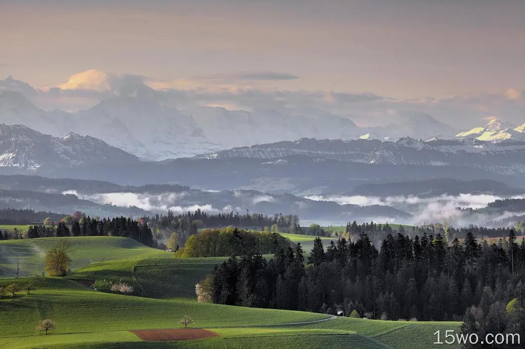 自然 风景 木质 瑞士 Alps 高清壁纸