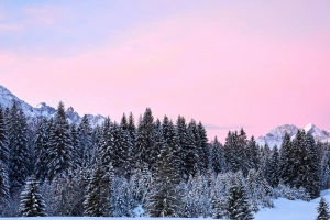森林,德国,冬天,气氛,自然景观,壁纸,3840x2160  3840x2160