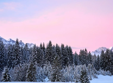 森林,德国,冬天,气氛,自然景观,壁纸,3840x2160 3840x2160