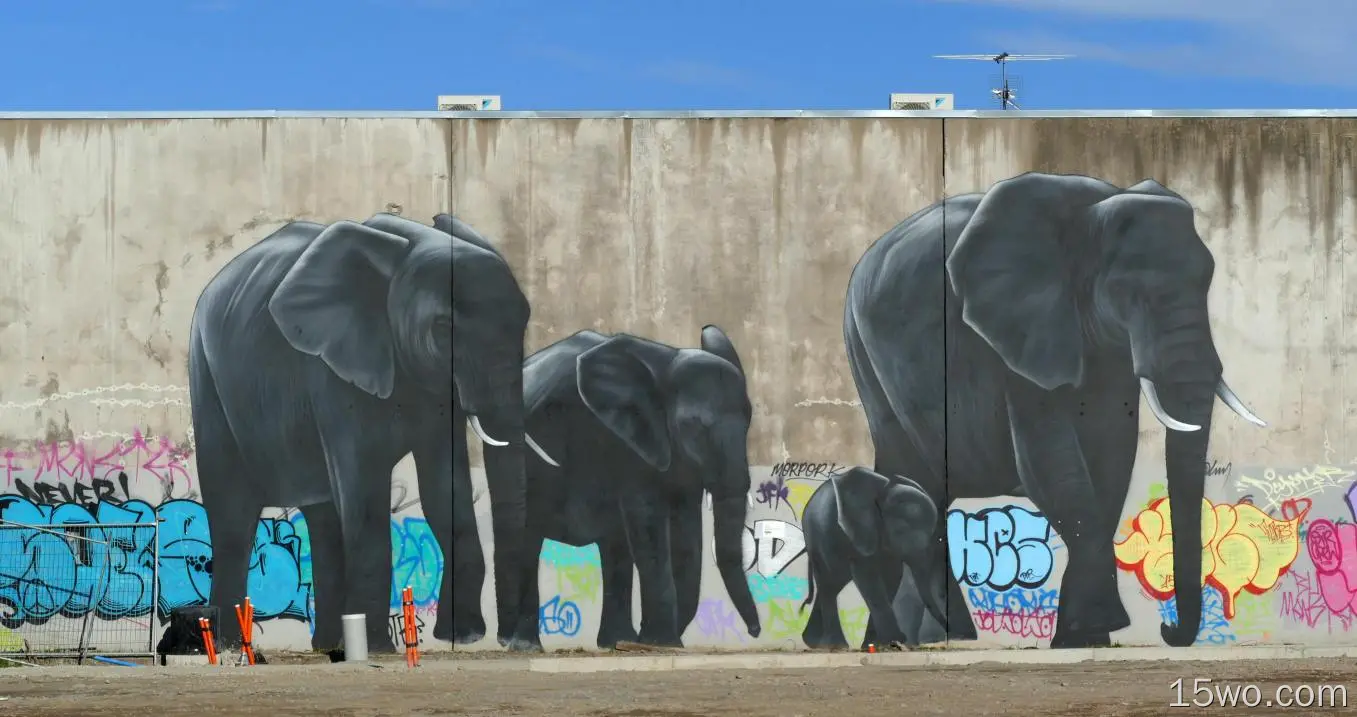 艺术 涂鸦 大象 墙 Mural 高清壁纸