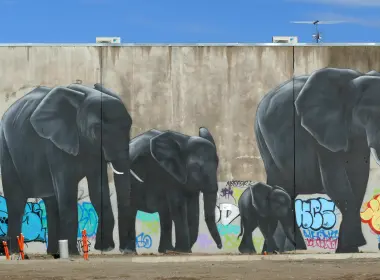 艺术 涂鸦 大象 墙 Mural 高清壁纸 4000x2114