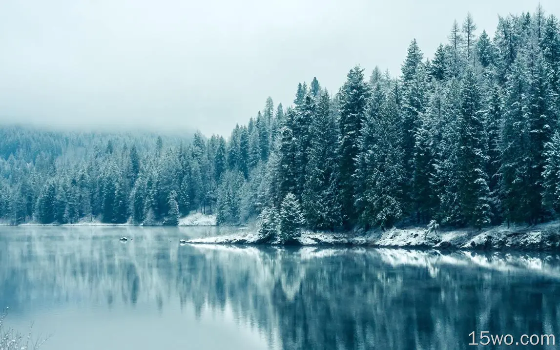 湖水 树林 冬天 白雪