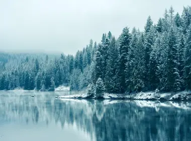 湖水 树林 冬天 白雪 3840x2400