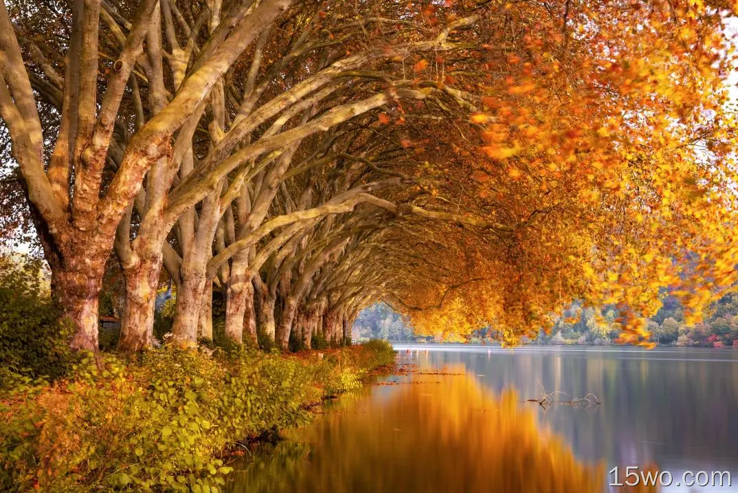 自然 秋季 树 湖泊 倒影 高清壁纸