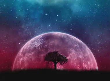 科幻 星球升起 粉色 天空 夜晚 星星 树 高清壁纸 2560x1600