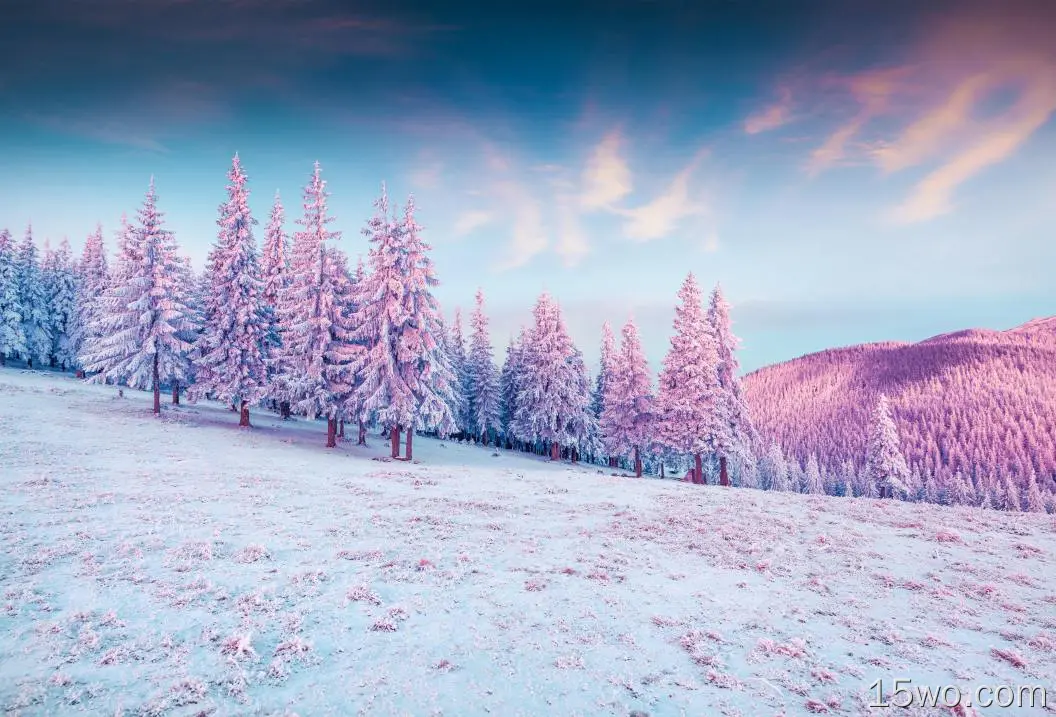 树木粉色彩色冷山雪4k