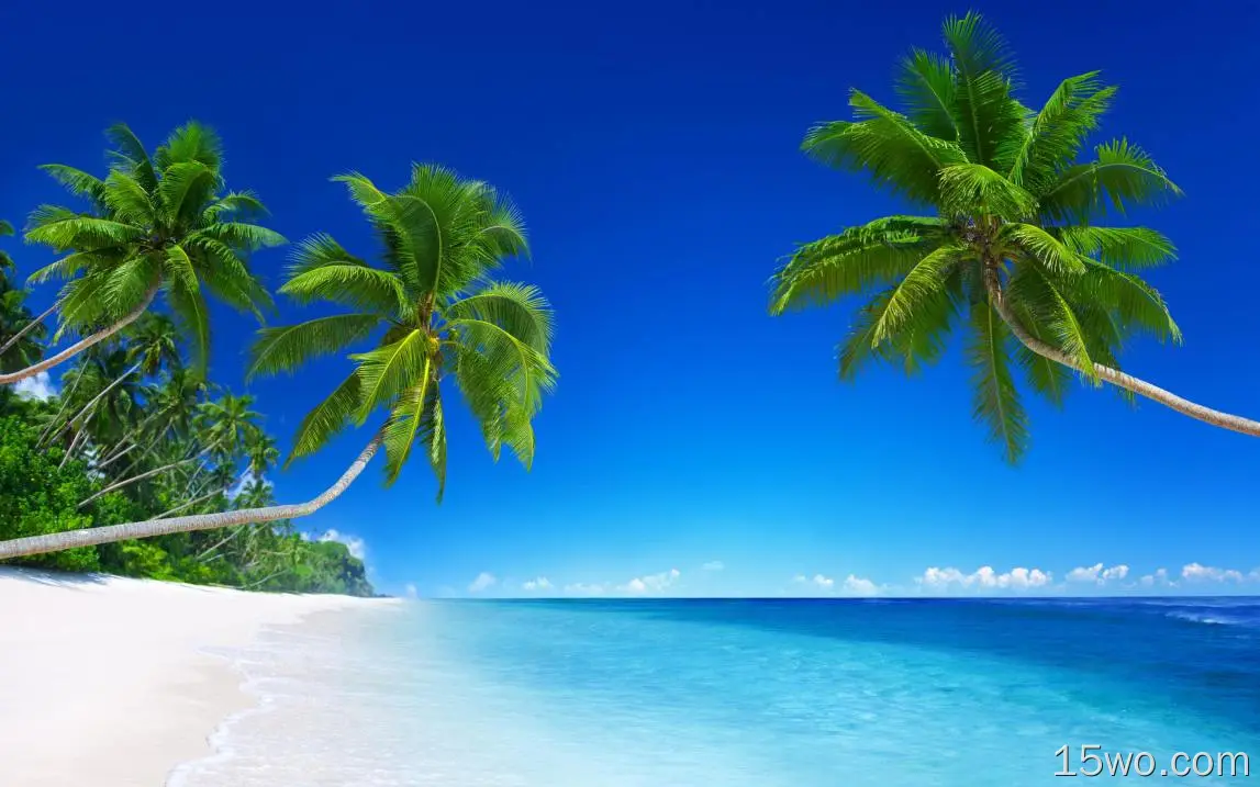 棕榈树、岛屿、干净的海洋、海滩