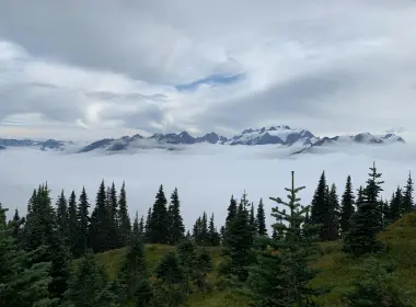 mountains, trees, fog, clouds, landscape 4032x3024