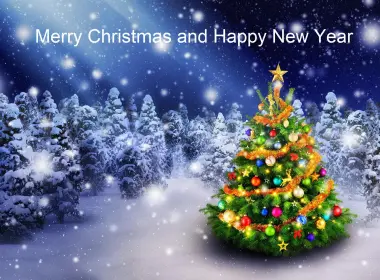节日 圣诞节 Merry Christmas Happy New Year Christmas Tree 高清壁纸 2560x1439