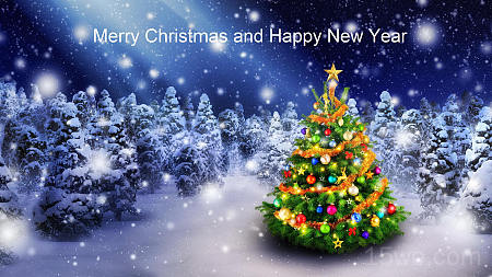 节日 圣诞节 Merry Christmas Happy New Year Christmas Tree 高清壁纸 2560x1439