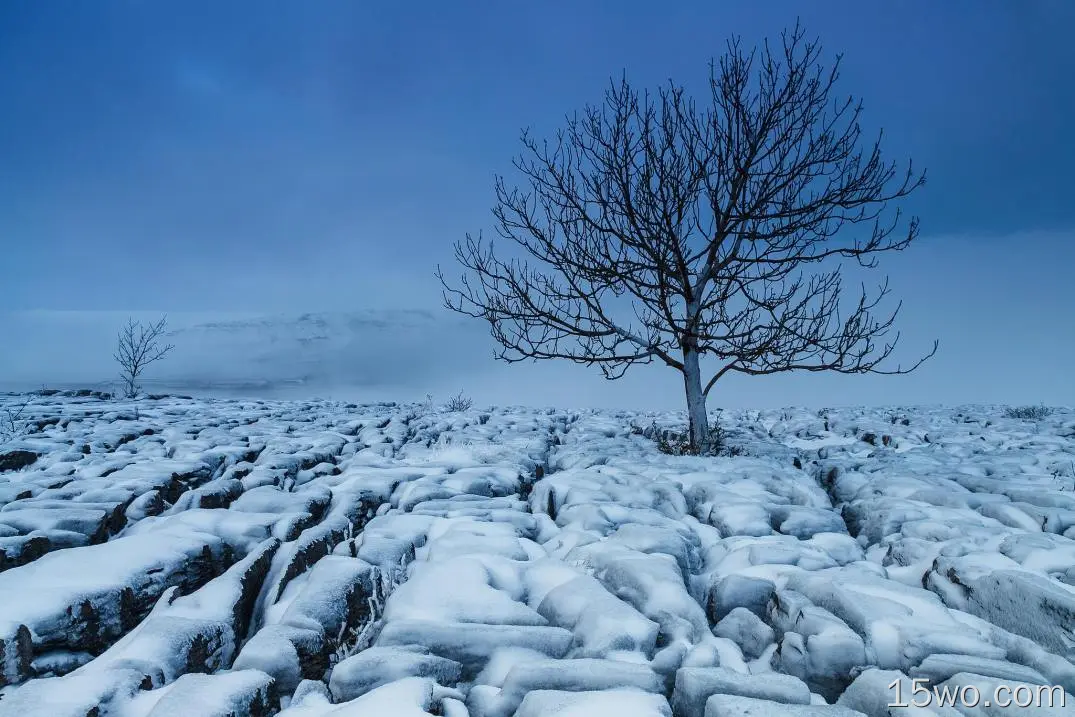 自然 冬季 大自然 树 Snow Lonely Tree 岩石 Horizon 高清壁纸